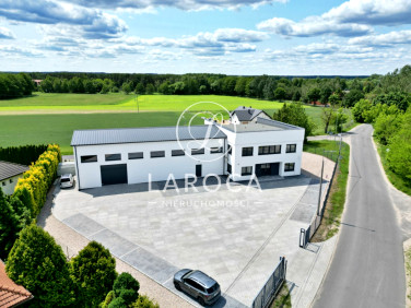 Lokal Złotoria