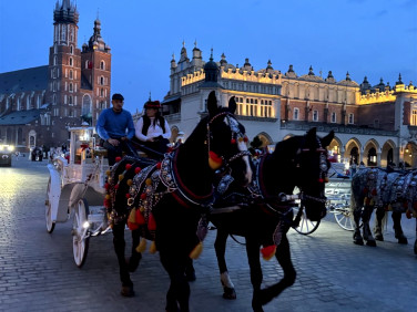 Lokal Kraków