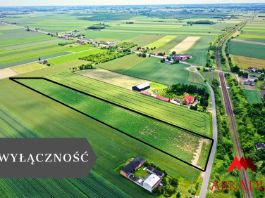 Działka Kowal