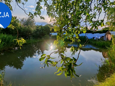 Działka budowlana Dębno