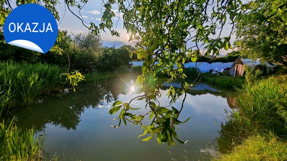 Działka budowlana Dębno