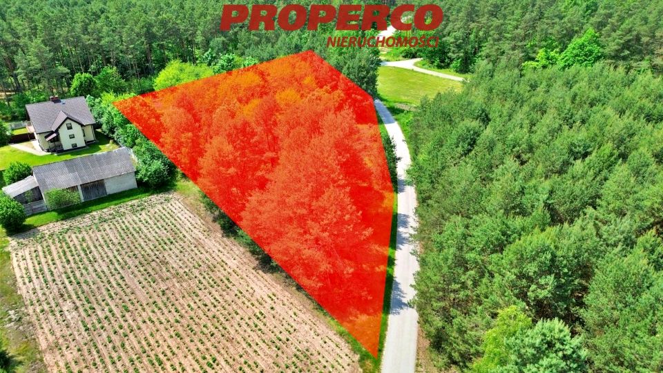 Działka przy lesie