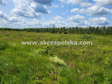 Działka budowlana Sierzchów