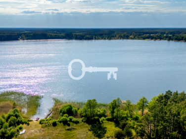 Działka inna Wycinki