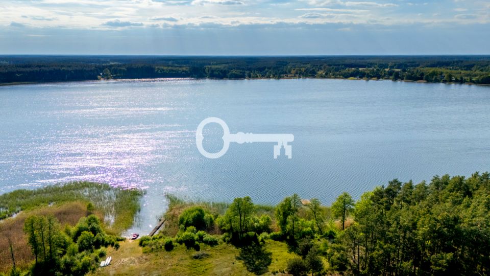Działka inna Wycinki