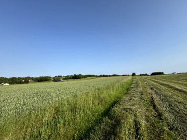 Działka Zalas