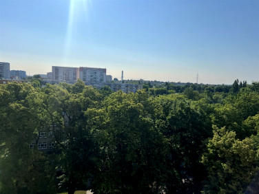 Mieszkanie Szczecin