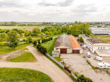 Lokal Kłoda
