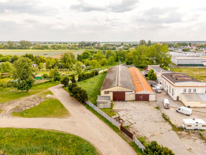 Lokal Kłoda