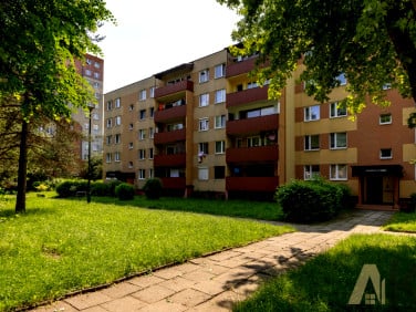 Mieszkanie Nowy Sącz