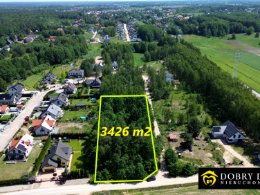 Działka leśna Olmonty