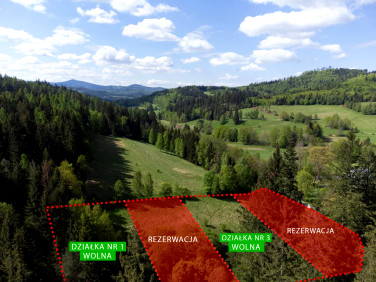 Działka Orłowiec