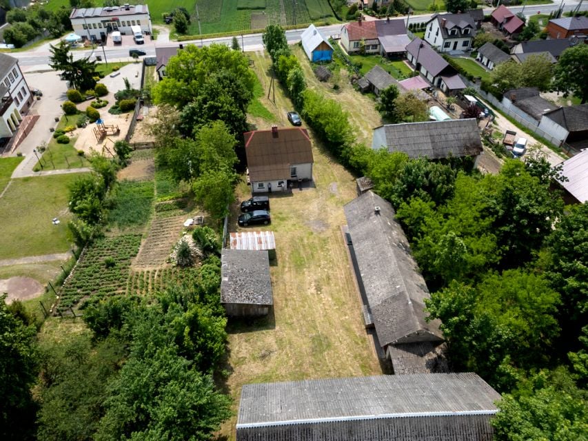 Zdjęcie 3