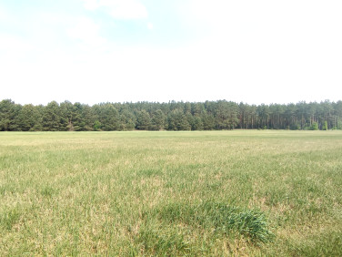Działka budowlana Osiek nad Wisłą