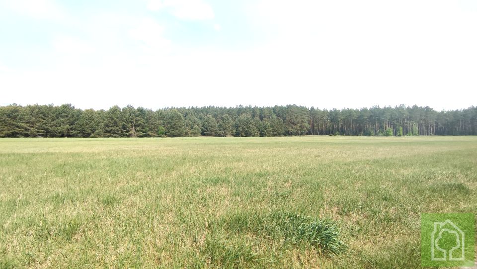 Działka budowlana Osiek nad Wisłą