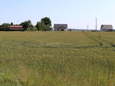 Działka budowlana Czernin