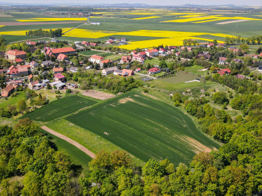 Działka Wierzbna