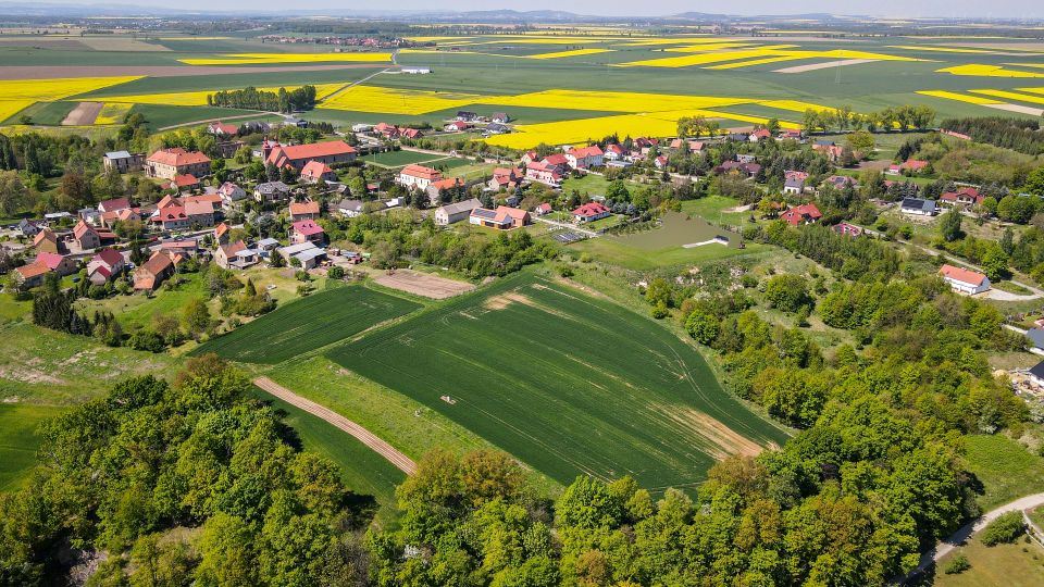 Działka Wierzbna