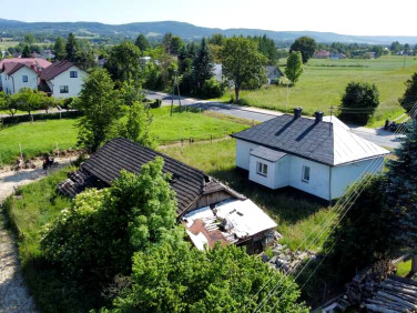 Dom Libusza