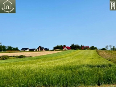 Działka Młodziejowice
