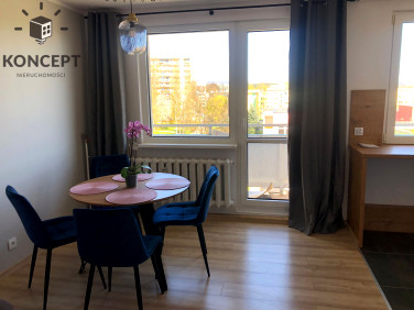 Mieszkanie Jelenia Góra wynajem