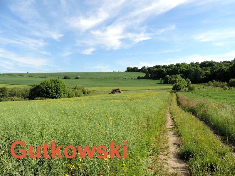 Działka rekreacyjna Lekarty