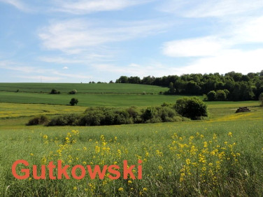 Działka rekreacyjna Lekarty sprzedam