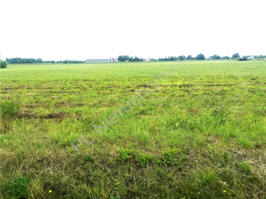 Działka budowlana Kraśnicza Wola