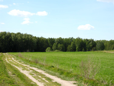 Działka siedliskowa Radomek