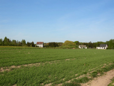 Działka siedliskowa Radomek