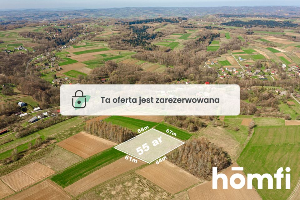 Działka Szkodna