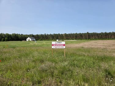 Działka Kalina