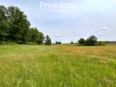 Działka przy lesie