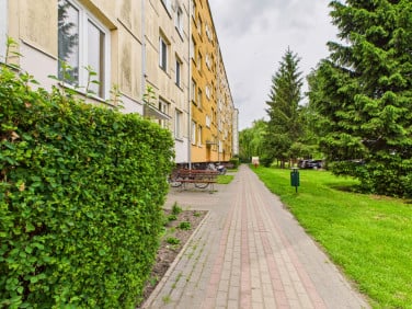 Mieszkanie Łuków