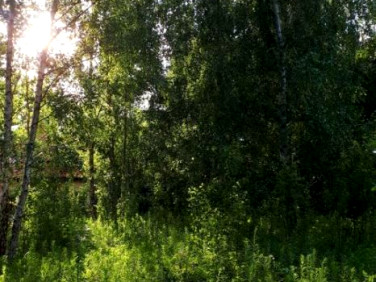 Działka budowlana Strzeniówka
