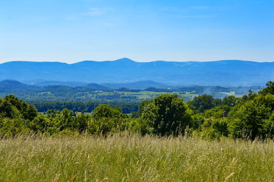 Działka Komarno