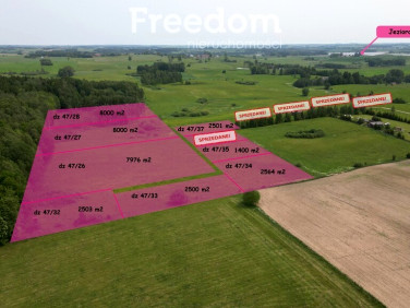 Działka Blanki