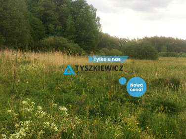 Działka Osieczna