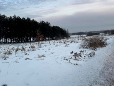 Działka budowlana Dąbie