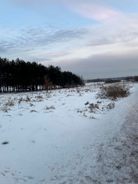 Działka budowlana Dąbie