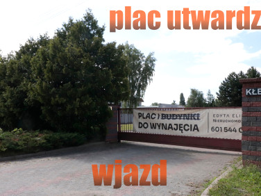 Działka budowlana Gniezno wynajmę