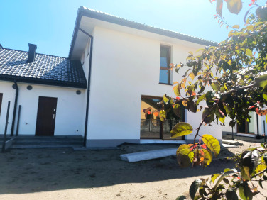 Dom Żółwin
