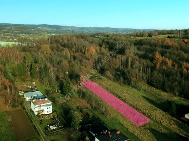 Działka rekreacyjna Krosno
