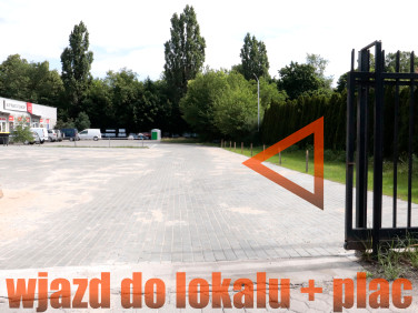 Lokal Gniezno