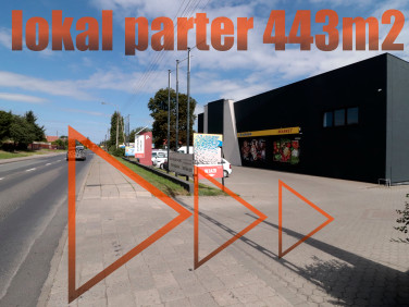 Lokal Gniezno