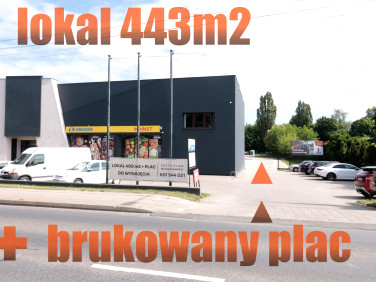Lokal Gniezno
