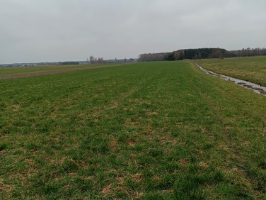 Działka Lasomin