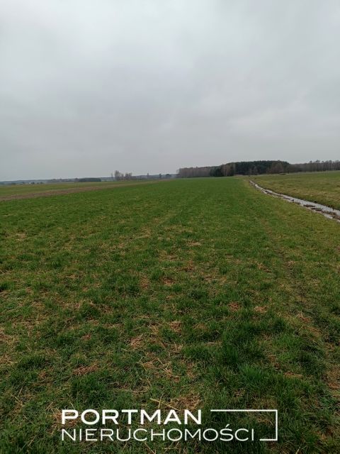 Działka Lasomin