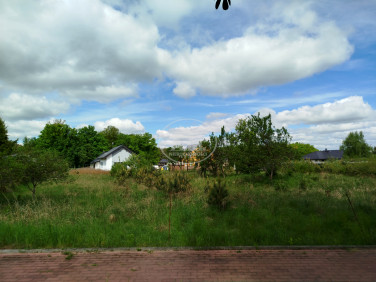 Działka Wołów