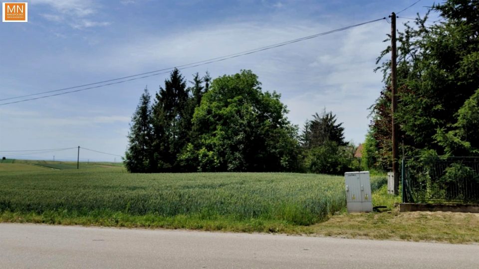 Działka siedliskowa Kuchary